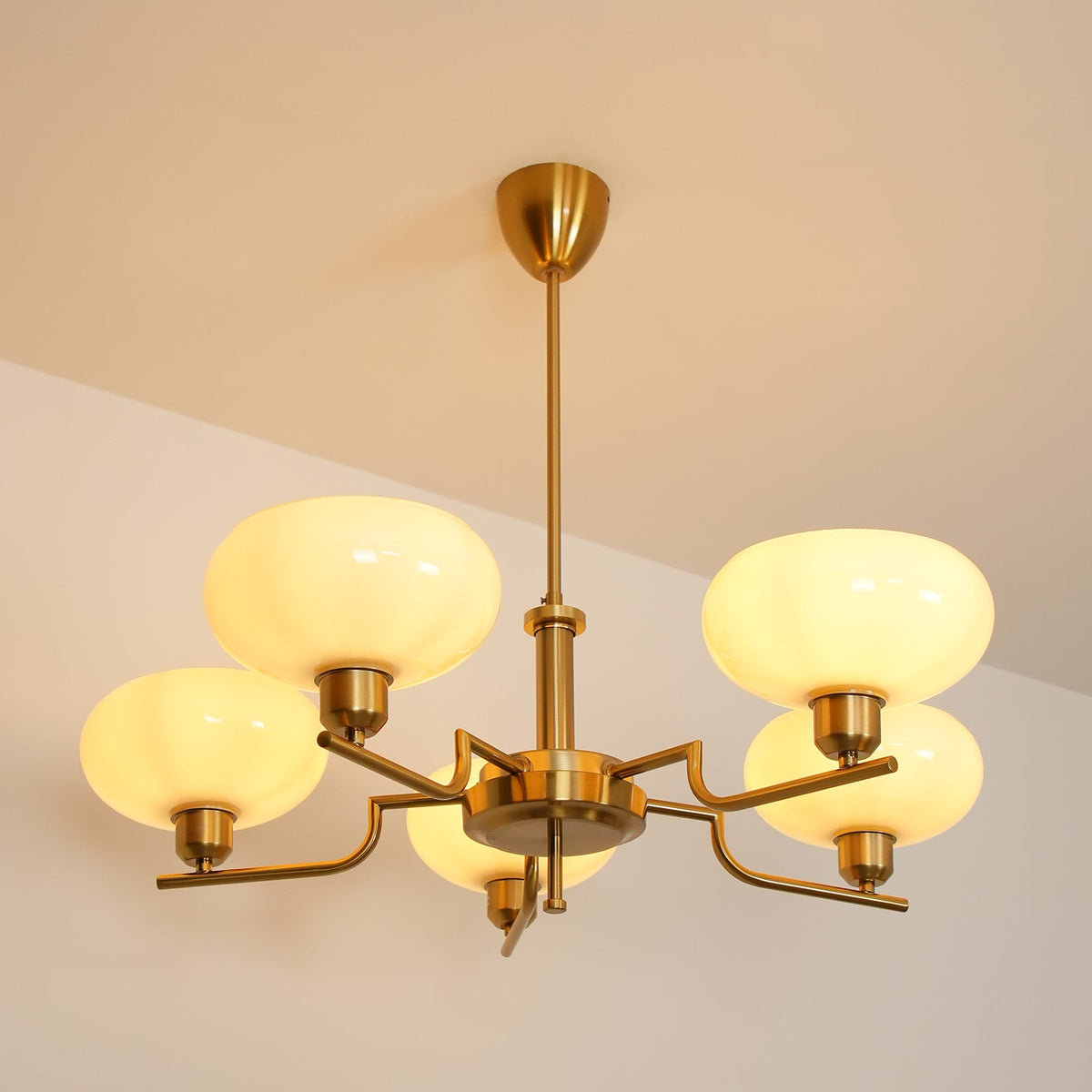 Multi-Arm Glass Chandelier Modern Globe Ceiling Light