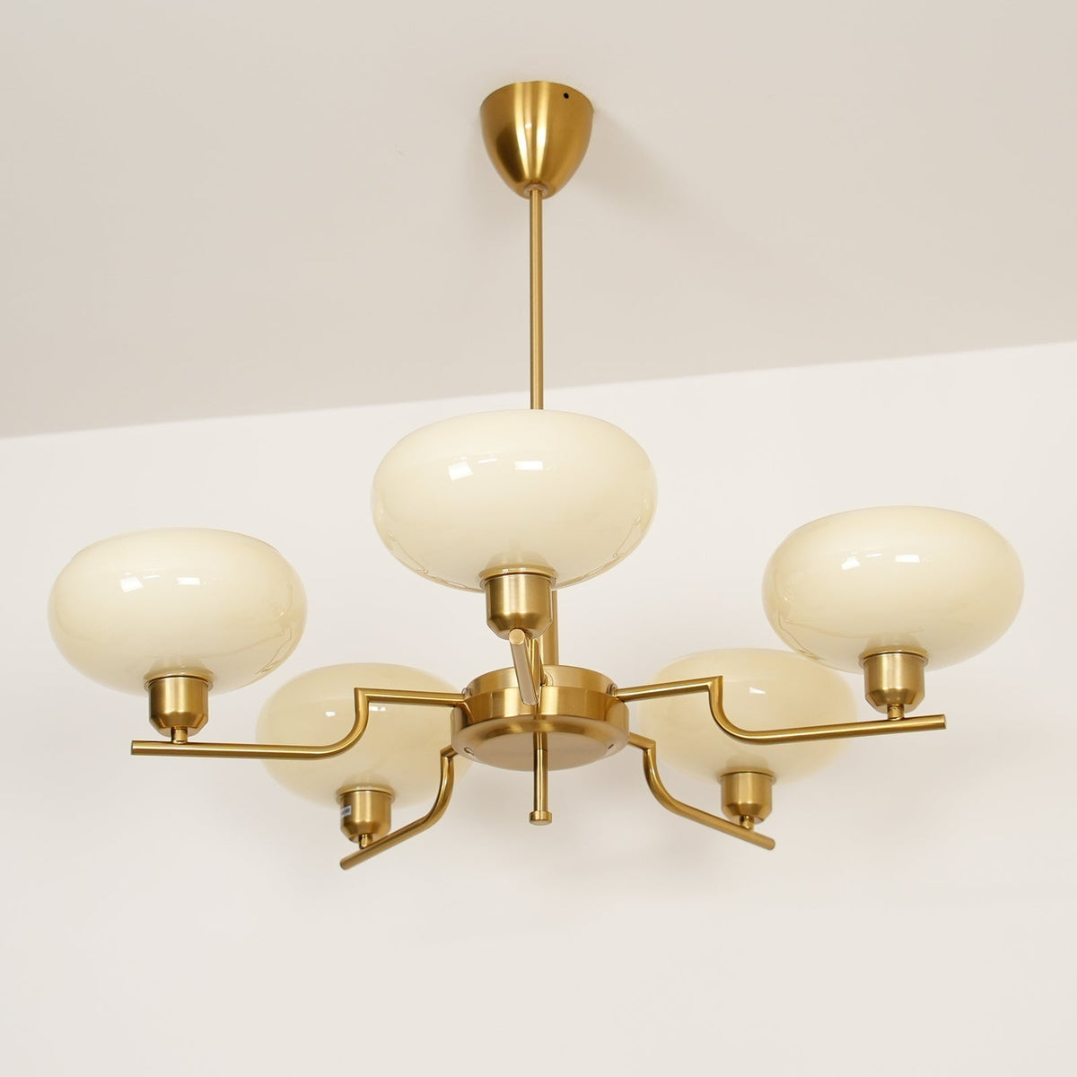 Multi-Arm Glass Chandelier Modern Globe Ceiling Light