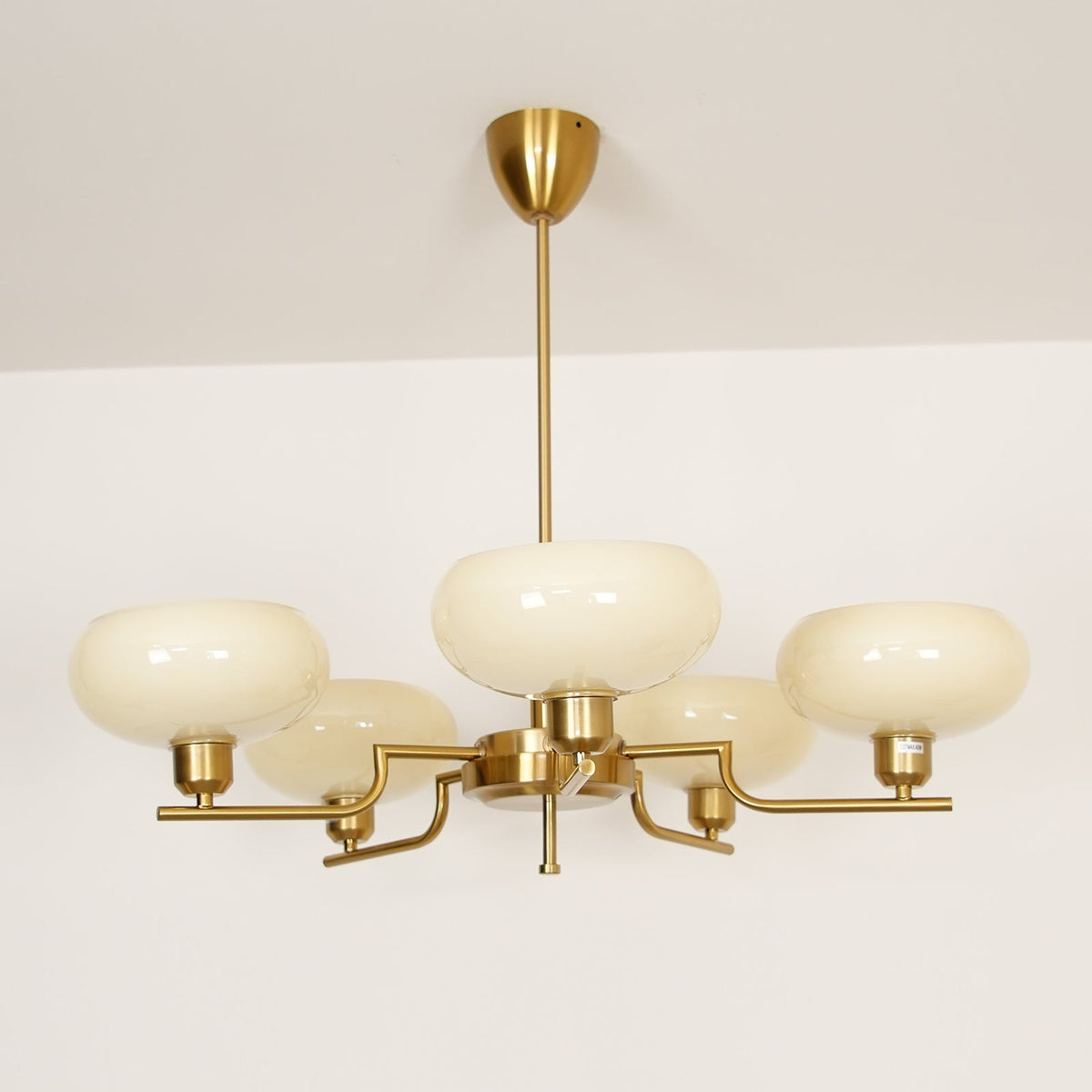Multi-Arm Glass Chandelier Modern Globe Ceiling Light